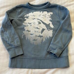 Gap small boys shark blue gray crew neck sweatshirt